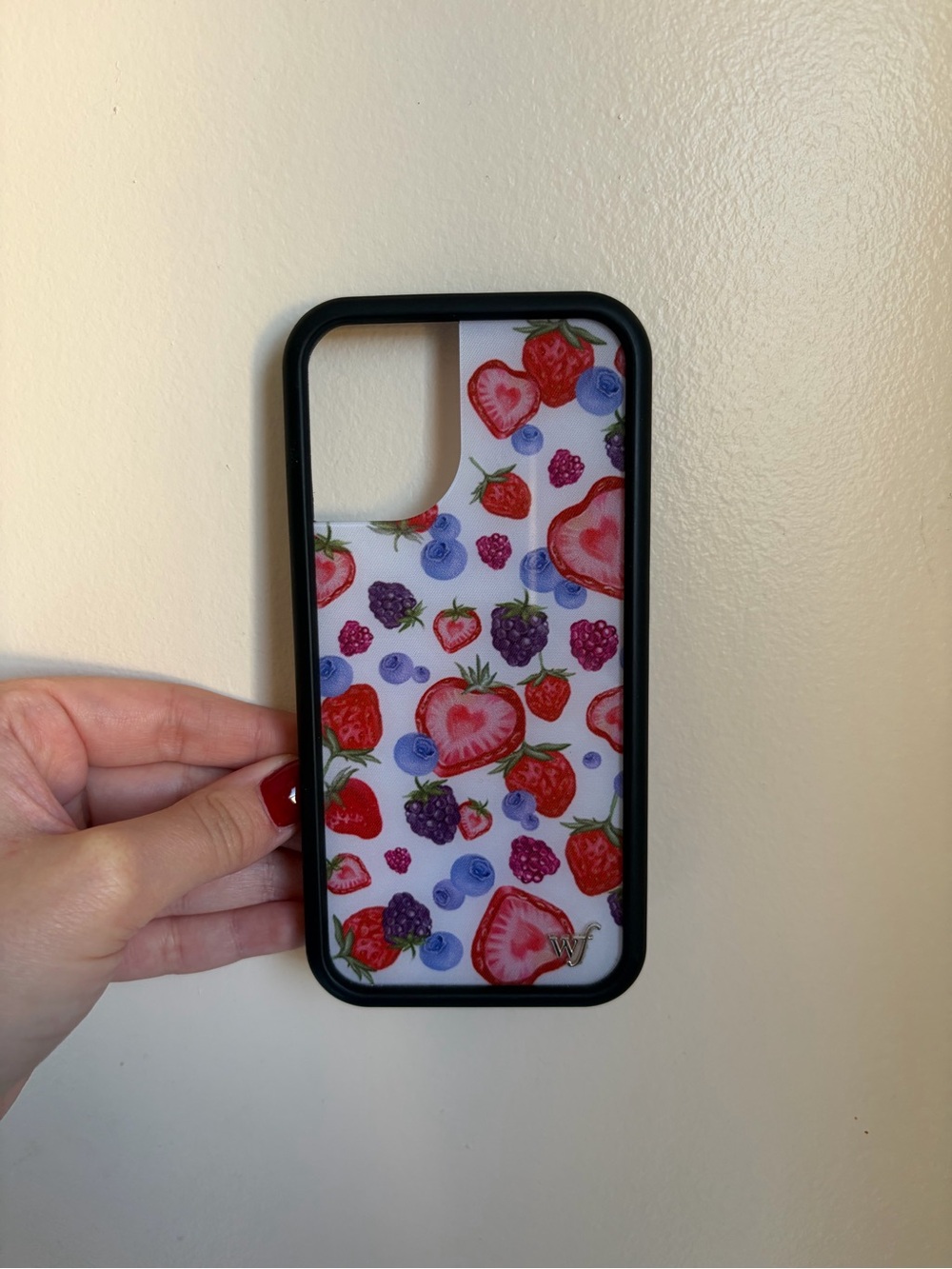 Wildflower Fruit Tart iPhone 17 Case